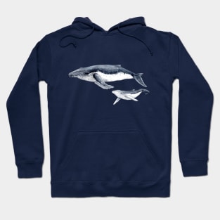 Humpback whale mother and baby Hoodie